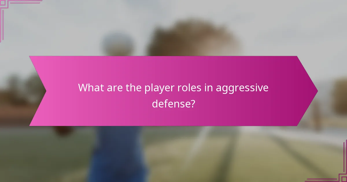 What are the player roles in aggressive defense?